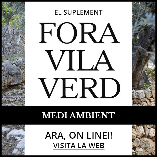 Banner Fora Vila Verd.